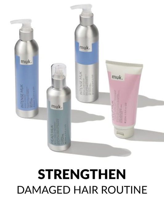 Strengthen Bundle - Routine